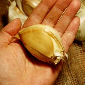 лук рокамболь